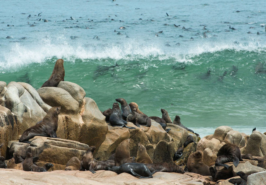 Skeleton Coast National Park, Namibia